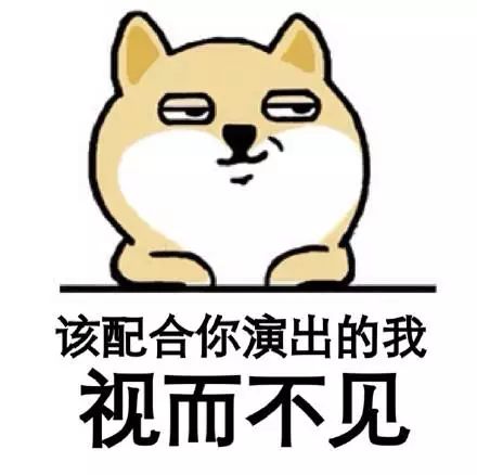 881014f230104e00ed372286ea539061.jpg