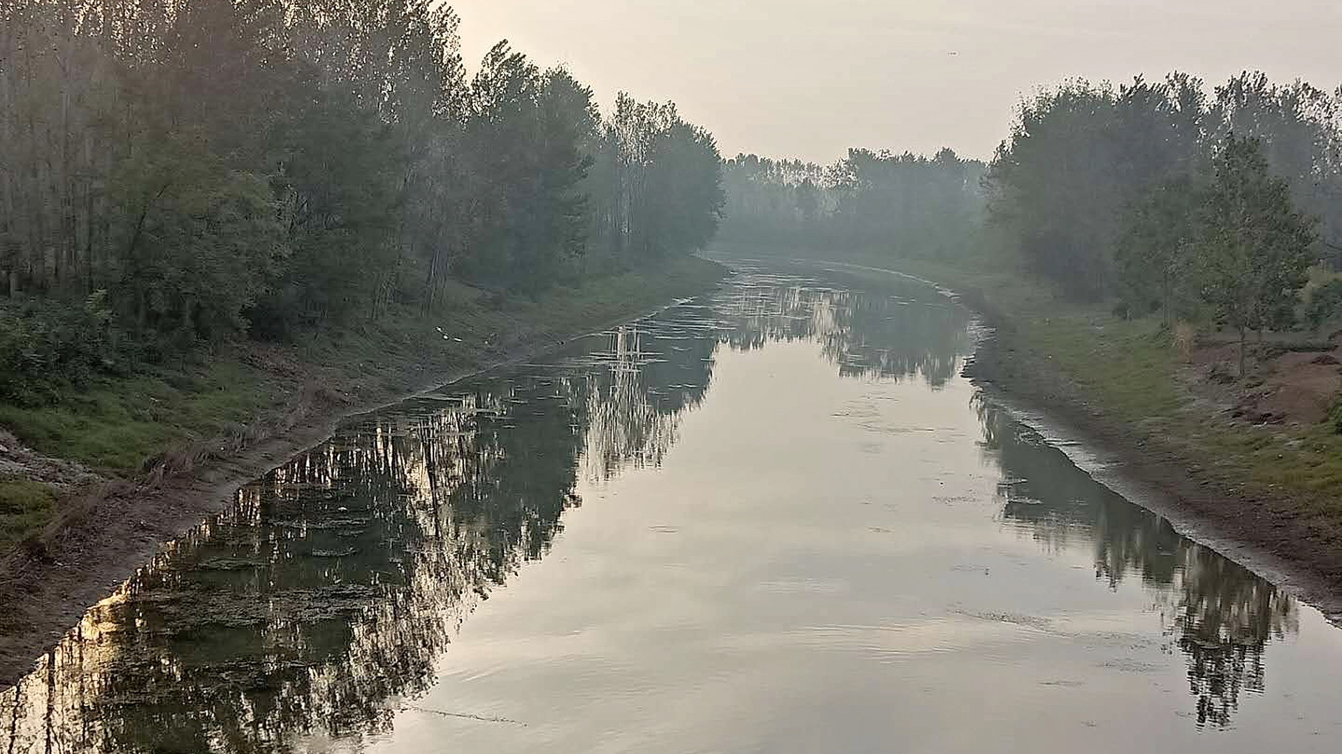 59.jpg