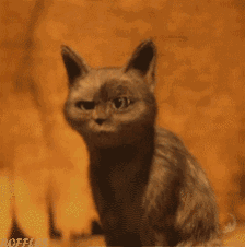 67ba6c710430eaec158aba130a6ea34d.gif