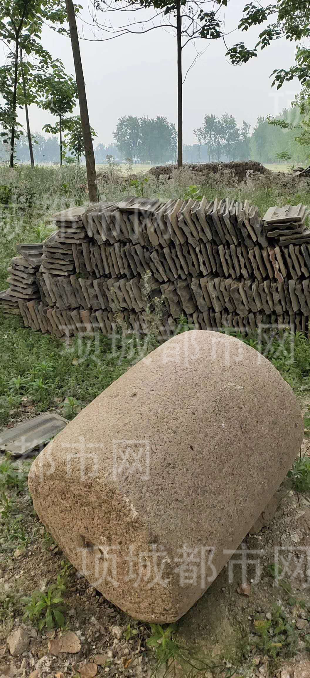 8e125d40ae326447ae019ad28709ea9c.jpg